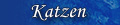 Katzen