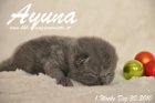 Ayuna ist 1 Woche alt geworden ( 30.12.2010 )
