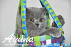 Ayuna ist 13 Wochen alt geworden ( 18.03.2011 )