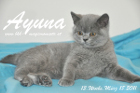 Ayuna ist 13 Wochen alt geworden ( 18.03.2011 )
