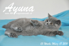 Ayuna ist 13 Wochen alt geworden ( 18.03.2011 )