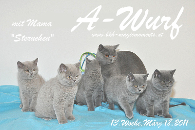 Ayuna ist 13 Wochen alt geworden ( 18.03.2011 )