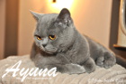 Ayuna ist 2 Jahre und 7 Monate alt ( 06.07.2013 )
