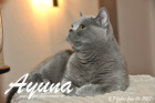 Ayuna ist 2 Jahre und 7 Monate alt ( 06.07.2013 )