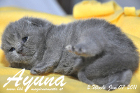 Ayuna ist 2 Wochen alt geworden ( 07.01.2011 )