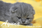 Ayuna ist 2 Wochen alt geworden ( 07.01.2011 )