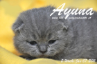 Ayuna ist 2 Wochen alt geworden ( 07.01.2011 )