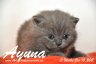 Ayuna ist 3 Wochen alt geworden ( 15.01.2011 )