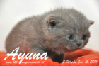 Ayuna ist 3 Wochen alt geworden ( 15.01.2011 )