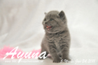 Ayuna ist 5 Wochen alt geworden ( 24.01.2011 )