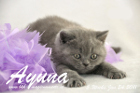 Ayuna ist 5 Wochen alt geworden ( 24.01.2011 )