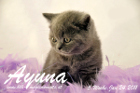 Ayuna ist 5 Wochen alt geworden ( 24.01.2011 )