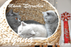 Ayuna ist 7 Wochen alt geworden ( 12.02.2011 )