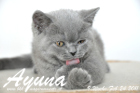 Ayuna ist 9 Wochen alt geworden ( 24.02.2011 )