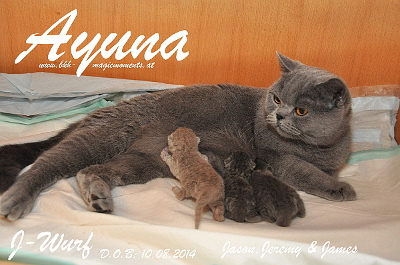 Ayuna`s 3.Babys , Jason, Jeremy und James