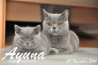 Mama Ayuna stolz mit ihrem Sohn James ( 09.11.2014 )