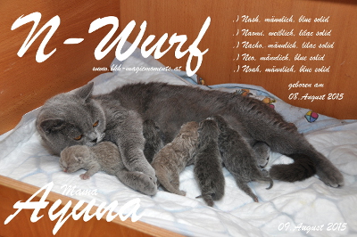 Ayuna`s 4.Babys , Nash, Naomi, Nacho, Neo und Noah