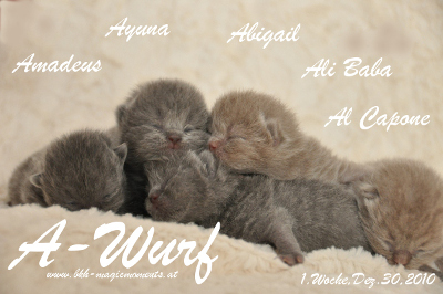Ayuna ist 1 Woche alt geworden ( 30.12.2010 )