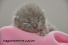 Baylee ist 1 Woche alt (31.12.2011)
