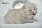 Baylee ist 3 Wochen alt (14.01.2012)