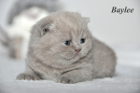 Baylee ist 3 Wochen alt (14.01.2012)