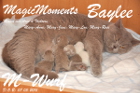 Baylee wurde am 07.03.2015 das 2. mal mit den M-Bärchen Mama (07.03.2015)
