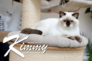 MagicMoments Kimmy