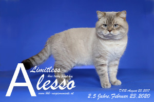 Limitless Alesso