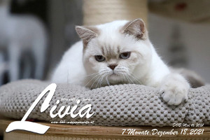 MagicMoments Livia