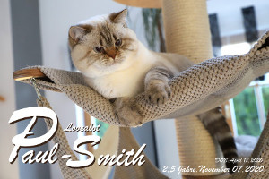 Lovealot Paul Smith