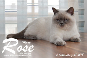 MagicMoments Mary Rose