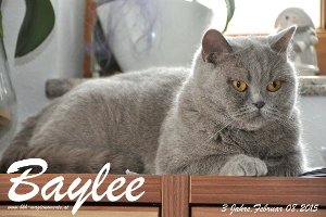 MagicMoments Baylee