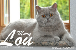 MagicMoments Mary-Lou