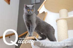 MagicMoments Queeny