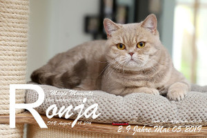 MagicMoments Ronja