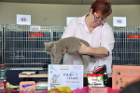 Mary Lou bei Tica Richterin Phillipa Holmes aus United Kingdom