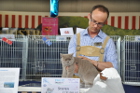 Mary Lou bei Tica Richter Steven Corneille aus Frankreich