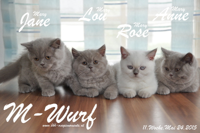 Mary Lou ist 11 Wochen alt geworden (24.05.2015)