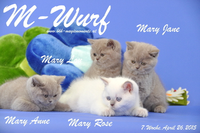 Mary Lou ist 7 Wochen alt geworden (26.04.2015)