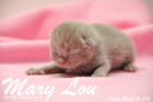 Mary Lou ist 1 Woche alt geworden (13.03.2015)