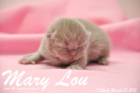 Mary Lou ist 1 Woche alt geworden (13.03.2015)