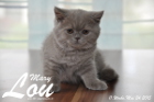 Mary Lou ist 11 Wochen alt geworden (24.05.2015)