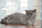 Mary Lou ist 11 Wochen alt geworden (24.05.2015)