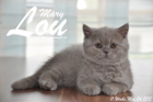 Mary Lou ist 11 Wochen alt geworden (24.05.2015)
