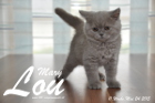 Mary Lou ist 11 Wochen alt geworden (24.05.2015)