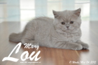 Mary Lou ist 11 Wochen alt geworden (24.05.2015)