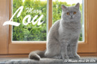 Mary Lou ist 13 Monate alt ( 24.04.2016 )