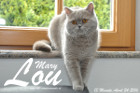 Mary Lou ist 13 Monate alt ( 24.04.2016 )
