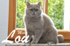Mary Lou ist 13 Monate alt ( 24.04.2016 )