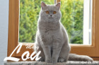 Mary Lou ist 13 Monate alt ( 24.04.2016 )